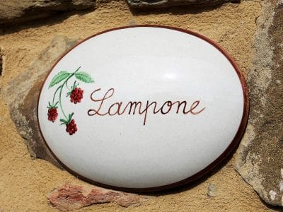 Apartment Lampone Farmhouse Borgo Valuberti in Castiglion Fiorentino, Farmhouse Tuscany